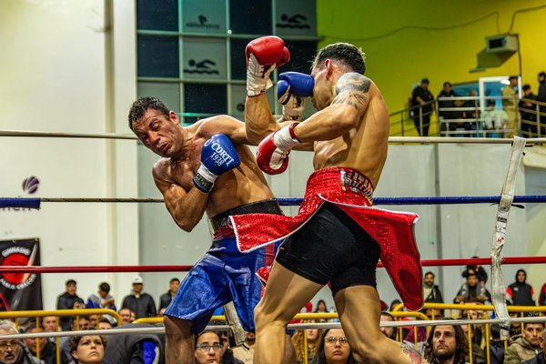 Natation et Grossesse : Bienfaits Inattendus et Conseils Pratiques