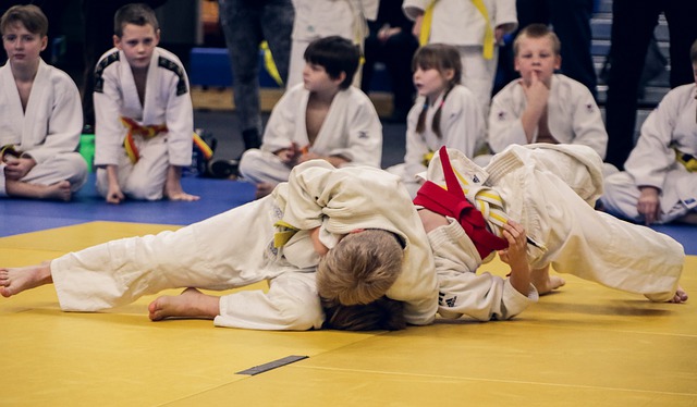 Les bienfaits physiques du judo